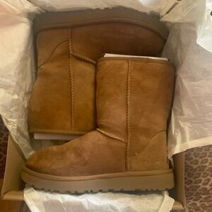 Classic Chestnut Uggs